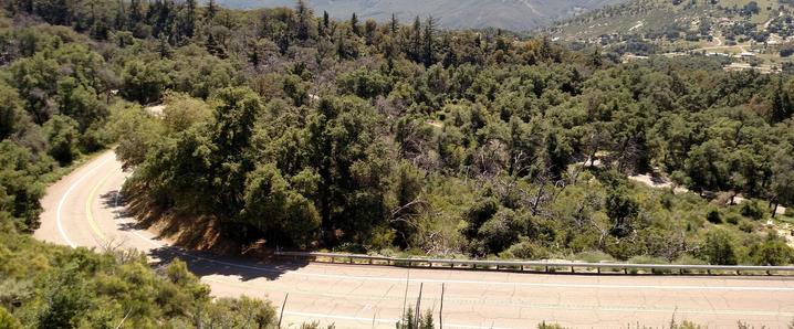 Palomar Mountain Quatro Climb