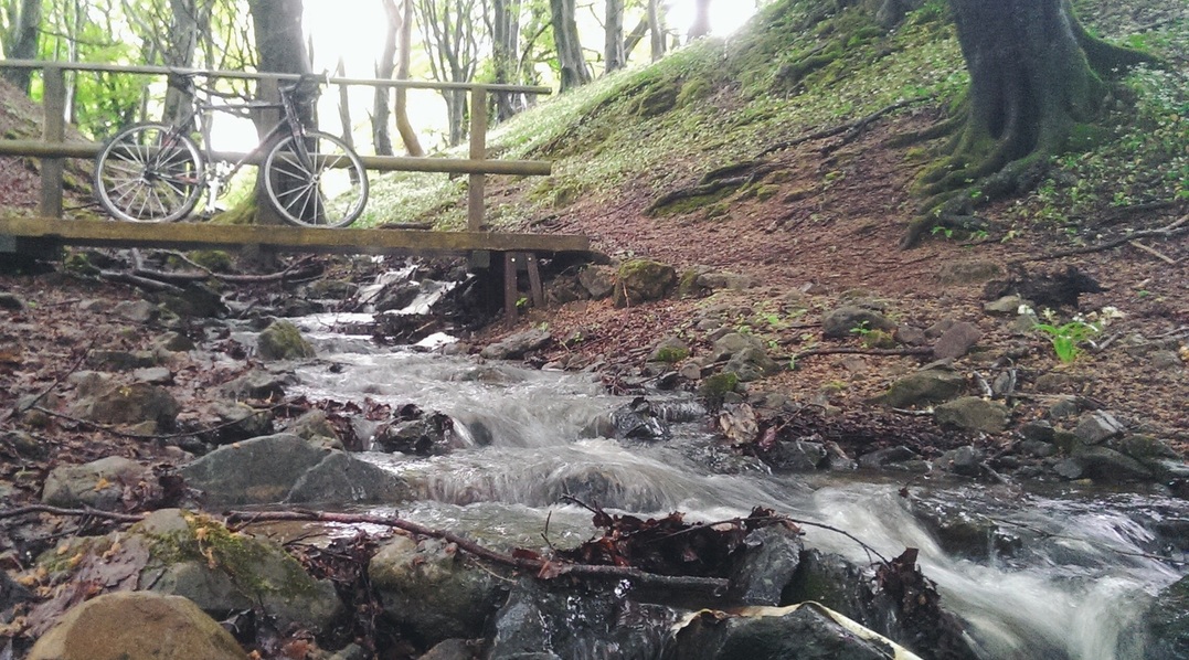 Caerphilly Mountain Cross loop 2