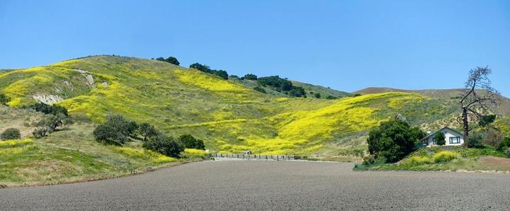 Drum Canyon