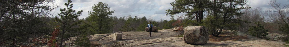 lynn woods mtb