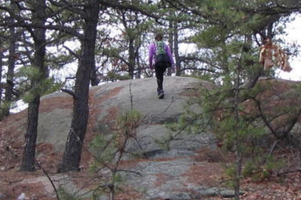 lynn woods mountain biking