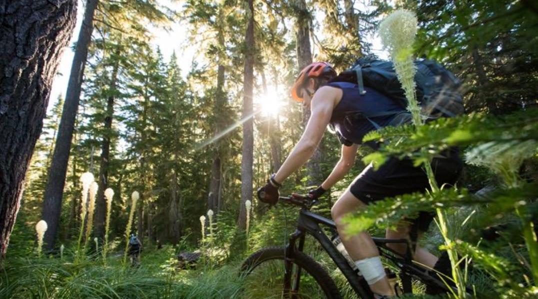 Waldo Lake Loop IMBA Epic